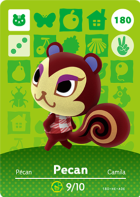 Pecan